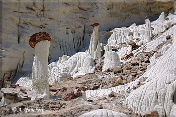 Kleinere White Ghosts
